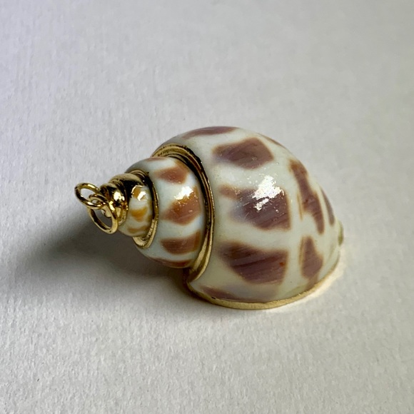 ⭐️ Gold Plated Shell ⭐️ - Picture 7 of 8